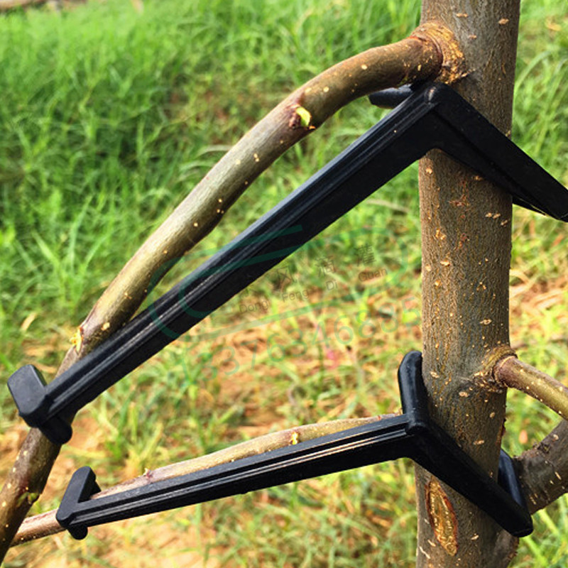 Bonsai Garden Tools - 10-30 Chiếc Quả Cây Kẹp Vật