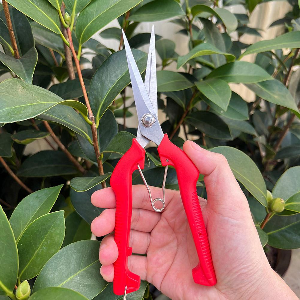Pro Garden Pruning Shears Leng - đánh giá và giá Bonsai Garden Tools